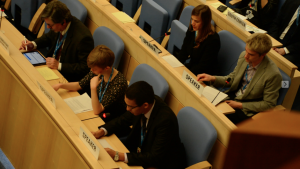 Last Days Of The IFMSA Delegation To The 142nd Executive Board Meeting ...